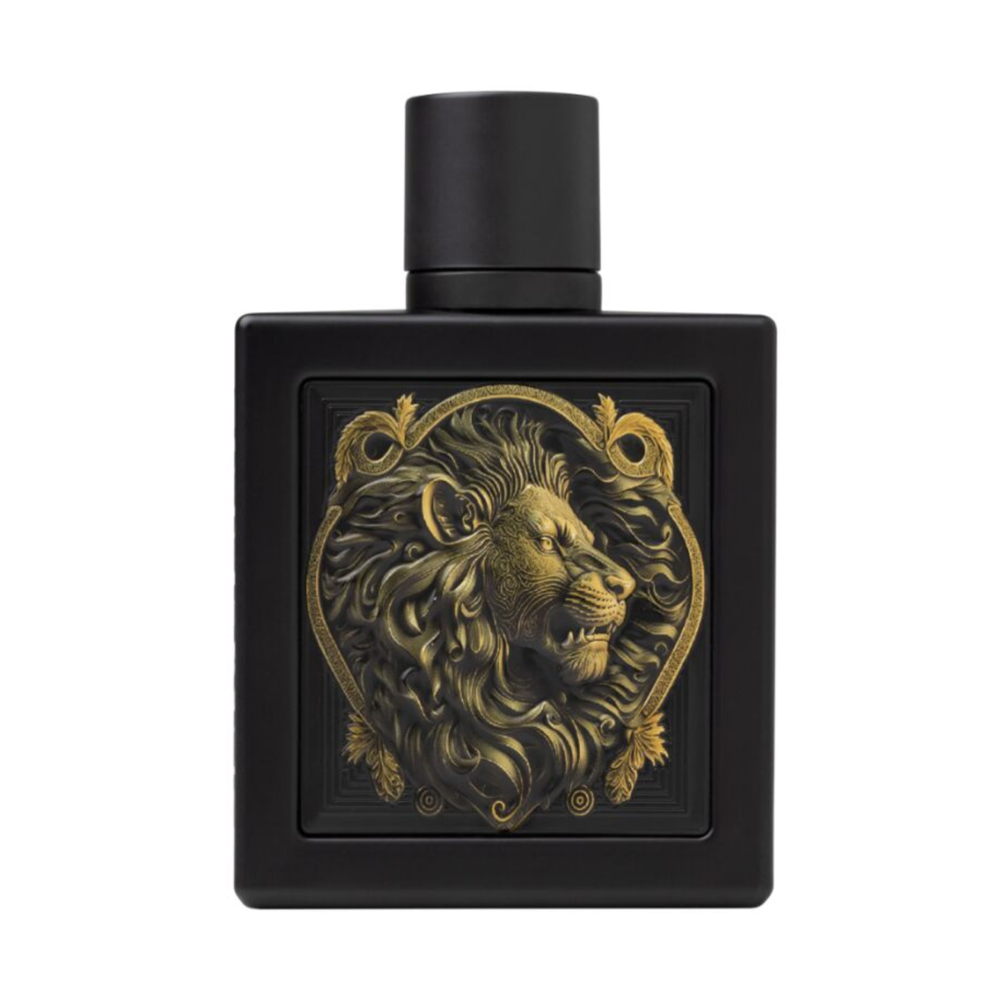 Lion Rayhaan